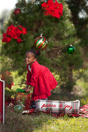 RWP_0229-28