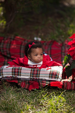 RWP_0244-41