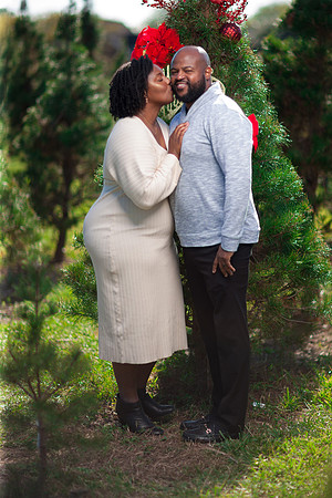 RWP_0311-86