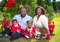 Lofton_Holiday2022 (3 of 22)