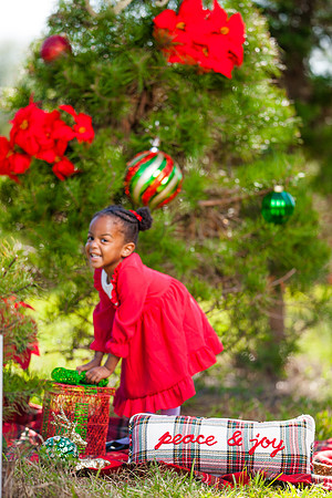 Lofton_Holiday2022 (8 of 22)