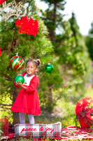 Lofton_Holiday2022 (11 of 22)