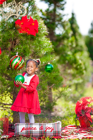 Lofton_Holiday2022 (11 of 22)