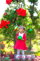 Lofton_Holiday2022 (12 of 22)