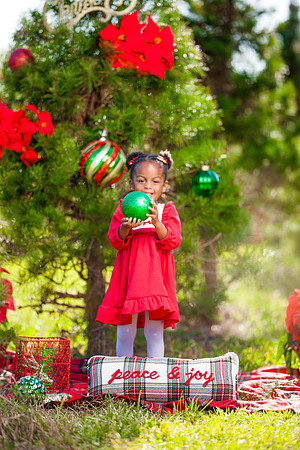 Lofton_Holiday2022 (14 of 22)