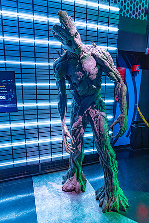 MOAM_2023_ (310 of 627)